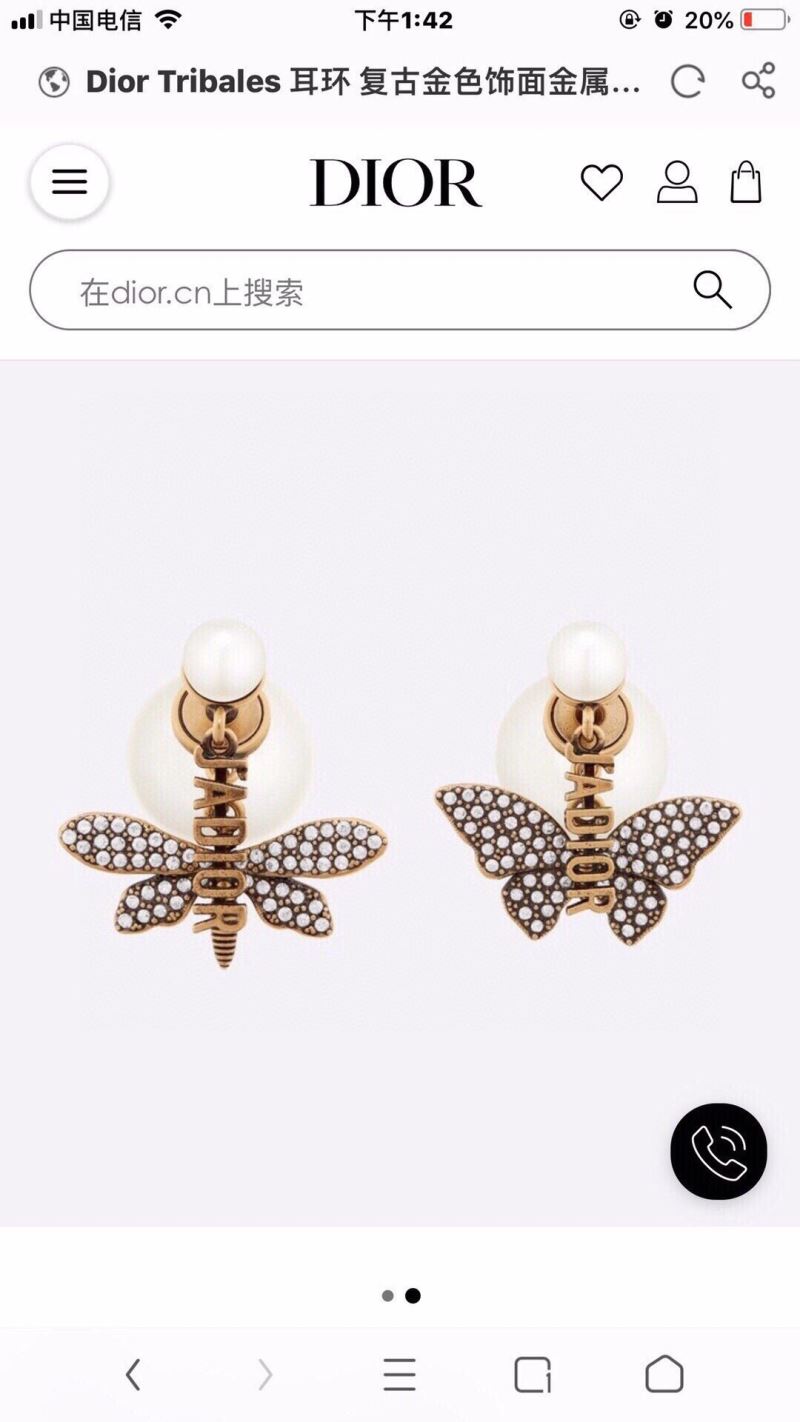 Christian Dior Earrings